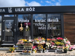 lila_roz